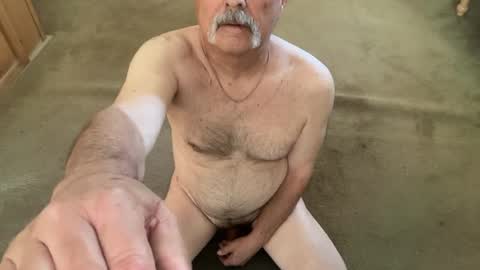 Dane online show from June 2026 05:37:01 PM
