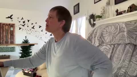 Aurora Willows online show from January 2026 04:43:01 PM