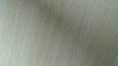 Snapshot of 11willowandjohn11 chatting on April 2026 02:48:01 AM Aurora Willows online show from April 2026 02:48:01 AM