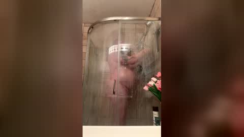 Snapshot of 12sil chatting on January 2026 01:48:01 PM 12sil online show from January 2026 01:48:01 PM