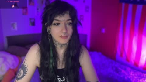 Teya online show from June 2026 04:29:01 AM