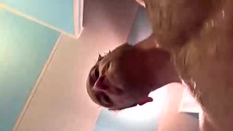 1knightluver69 online show from May 2026 05:25:01 AM