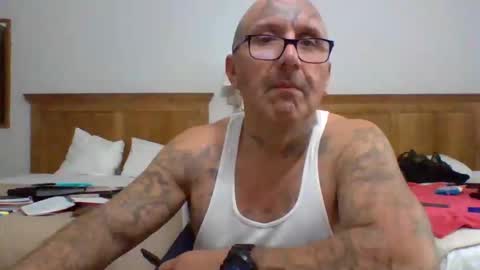 Snapshot of 1nastya8 chatting on May 2026 11:06:02 AM TheShyOne18 online show from May 2026 11:06:02 AM