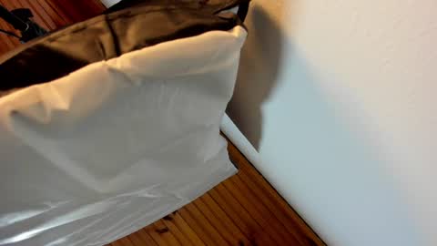 Luisa online show from June 2026 11:31:01 AM