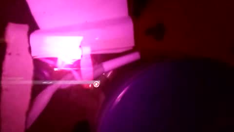 Snapshot of 1st___ chatting on November 2025 08:58:01 AM 1st___ online show from November 2025 08:58:01 AM