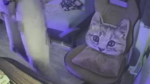 Snapshot of 23superborec23 chatting on April 2026 03:06:01 PM Superborec23 online show from April 2026 03:06:01 PM