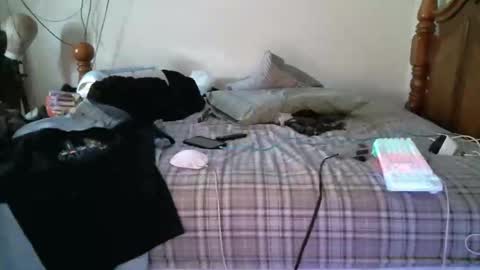 247dic online show from May 2026 08:17:01 PM