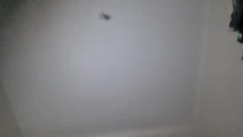 2750clark online show from June 2026 07:22:02 AM