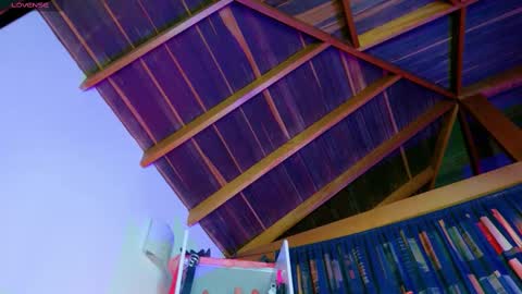 Snapshot of 2diamond_eyes chatting on October 2025 03:46:02 AM Arianna online show from October 2025 03:46:02 AM