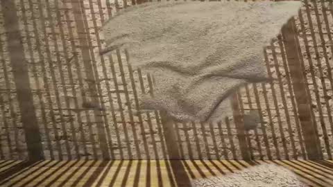 2hairrypigs online show from January 2026 07:23:01 PM