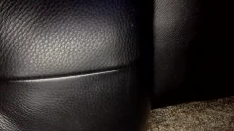 Snapshot of 30nick chatting on January 2026 06:39:01 AM 30nick online show from January 2026 06:39:01 AM