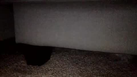 Snapshot of 30nick chatting on February 2026 03:16:02 AM 30nick online show from February 2026 03:16:02 AM