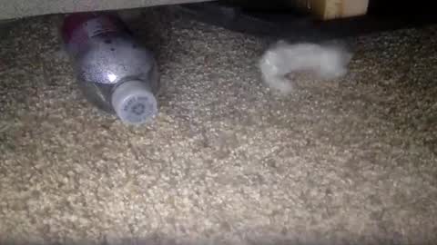 Snapshot of 30nick chatting on February 2026 04:16:02 AM 30nick online show from February 2026 04:16:02 AM