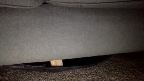 Snapshot of 30nick chatting on February 2026 05:50:02 AM 30nick online show from February 2026 05:50:02 AM