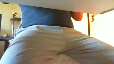 Snapshot of 3funlover chatting on December 2024 01:28:01 PM 3funlover online show from December 2024 01:28:01 PM