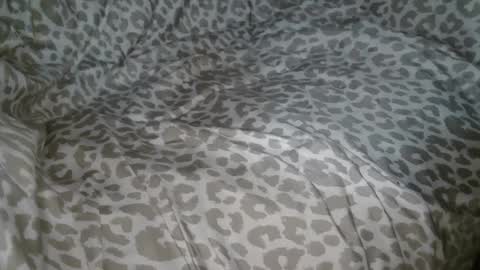 Phil online show from September 2025 01:41:02 AM