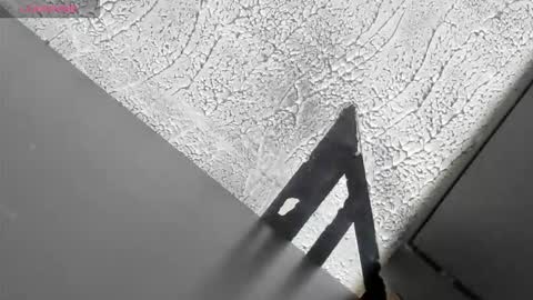 3X NAXAA online show from December 2025 12:46:02 PM