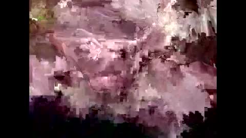 Kyle Brandon online show from January 2025 04:55:02 PM