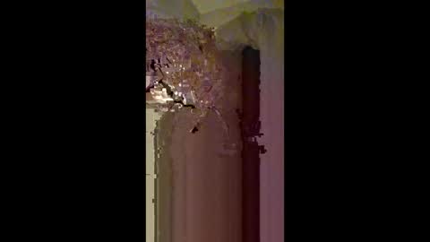 Zeus online show from February 2026 03:40:01 AM