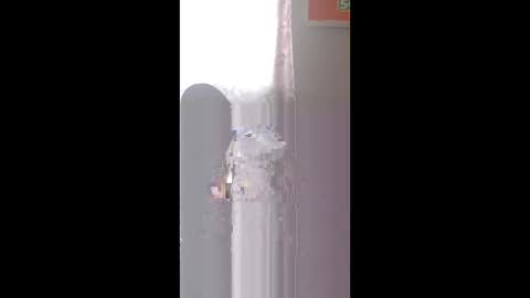 Zeus online show from May 2026 11:48:01 AM