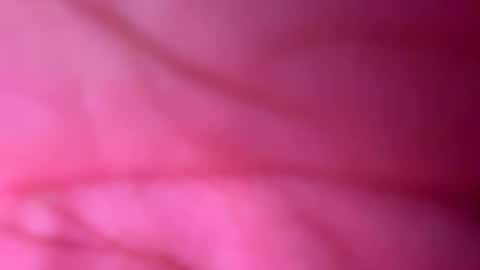 Snapshot of 666babe_ chatting on October 2025 11:41:02 AM 666xoxo online show from October 2025 11:41:02 AM