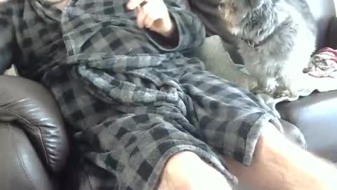 66bear online show from December 2024 04:43:02 PM