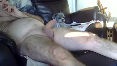 66bear online show from October 2025 11:41:02 AM