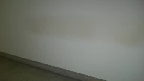 69___pas online show from December 2024 12:55:02 PM