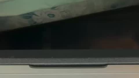 Snapshot of 69j0hndo chatting on October 2025 08:06:01 AM FUCKR online show from October 2025 08:06:01 AM