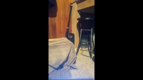 69vz69 online show from March 2026 10:13:02 PM