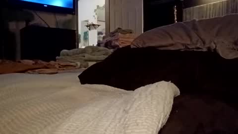 7lairddip online show from March 2026 06:36:01 AM