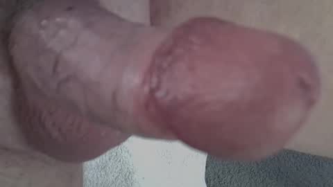 Snapshot of 81_harterschwanz chatting on February 2025 06:39:01 AM Maximilian Max online show from February 2025 06:39:01 AM