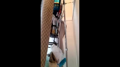 John B online show from March 2025 06:54:01 PM