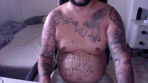 8cha online show from May 2026 05:41:01 PM
