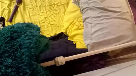 8intenn online show from March 2026 04:17:01 AM