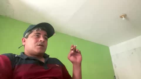 9vinhocamshow online show from May 2026 11:38:01 AM