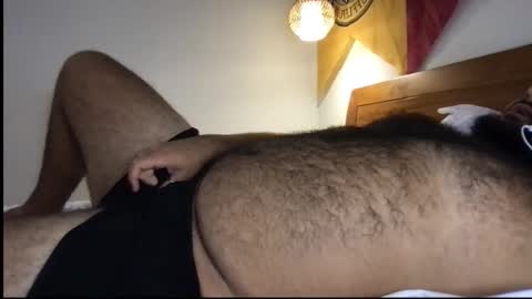 Snapshot of _alan_bear_ chatting on June 2026 03:58:02 PM Alan online show from June 2026 03:58:02 PM