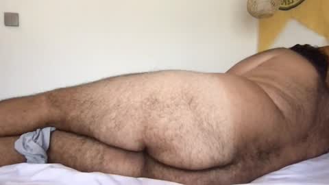 Snapshot of _alan_bear_ chatting on June 2026 03:42:01 AM Alan online show from June 2026 03:42:01 AM