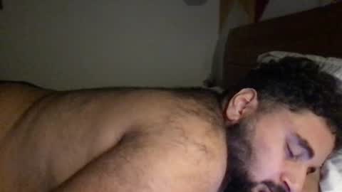 Snapshot of _alan_bear_ chatting on June 2026 05:41:01 PM Alan online show from June 2026 05:41:01 PM