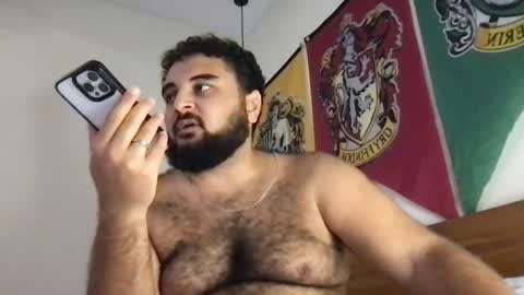 Snapshot of _alan_bear_ chatting on July 2026 03:49:02 PM Alan online show from July 2026 03:49:02 PM