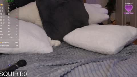 Snapshot of _aleksa chatting on January 2025 09:15:02 AM Alexa online show from January 2025 09:15:02 AM