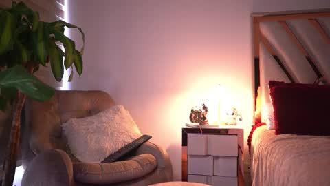 Andy online show from November 2025 08:58:01 PM