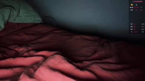 Snapshot of _anise_ chatting on October 2025 03:35:02 PM Anise online show from October 2025 03:35:02 PM