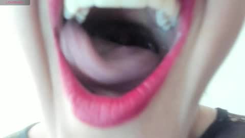 antonia online show from November 2025 01:44:02 PM