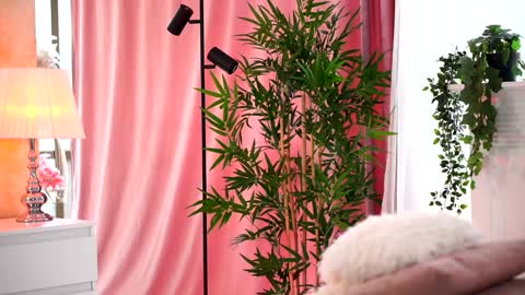 Snapshot of _arielle chatting on February 2025 09:37:01 AM Arielle online show from February 2025 09:37:01 AM