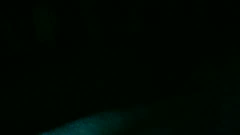 Snapshot of _axel_vance_ chatting on February 2026 06:49:02 PM _axel_vance_ online show from February 2026 06:49:02 PM