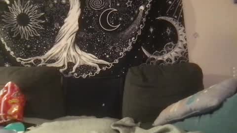 bandit online show from February 2025 02:05:02 AM