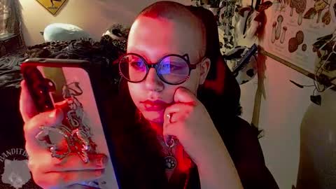 bandit online show from March 2026 04:31:01 AM