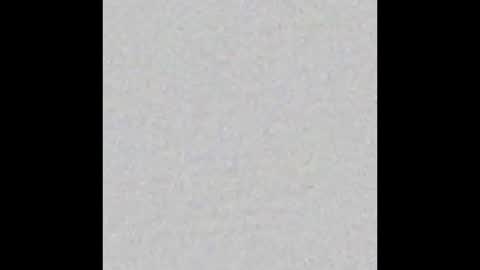 Brenda online show from March 2025 11:39:02 AM