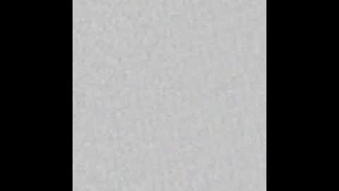 Brenda online show from September 2025 11:46:02 AM